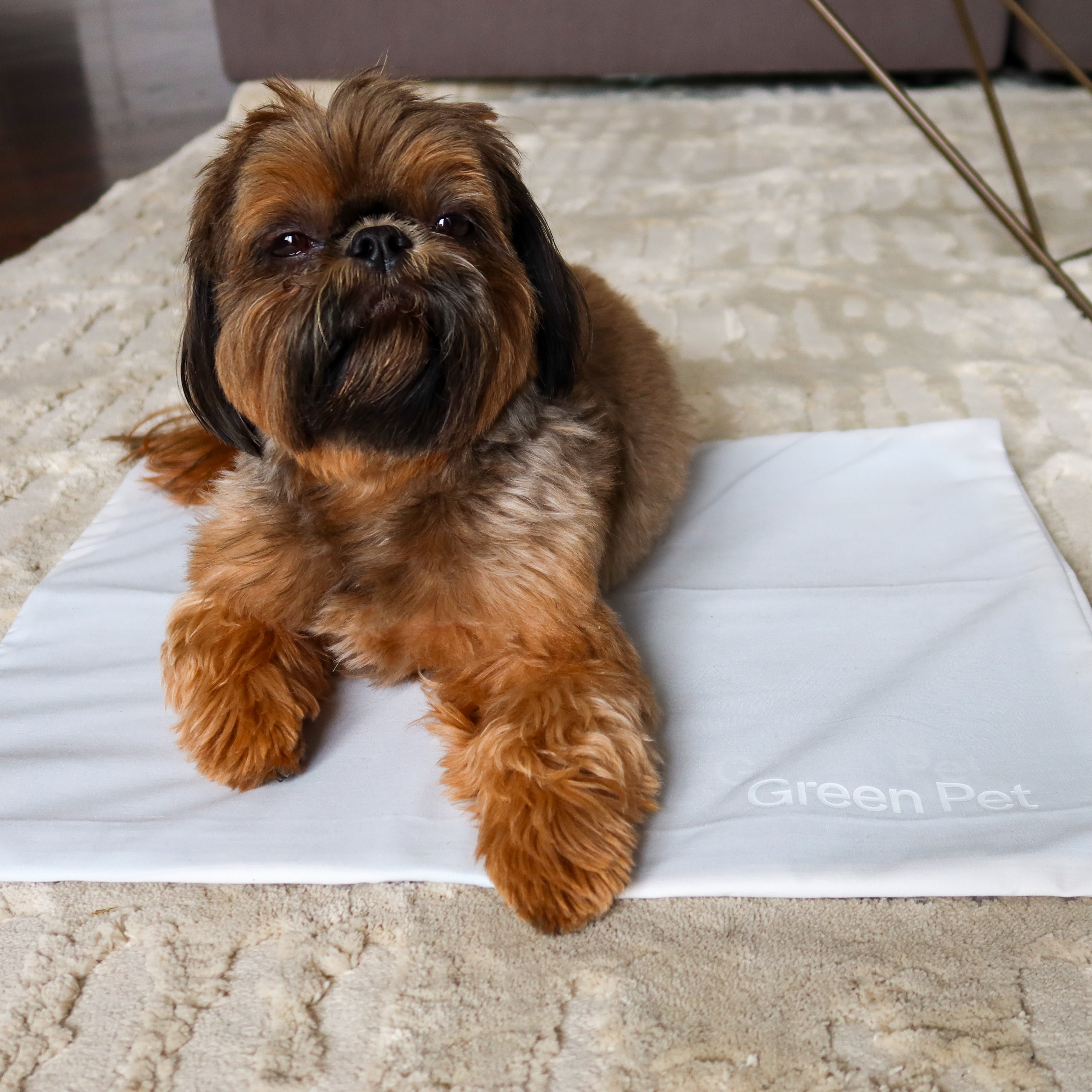 Cool Pet Pad Cover