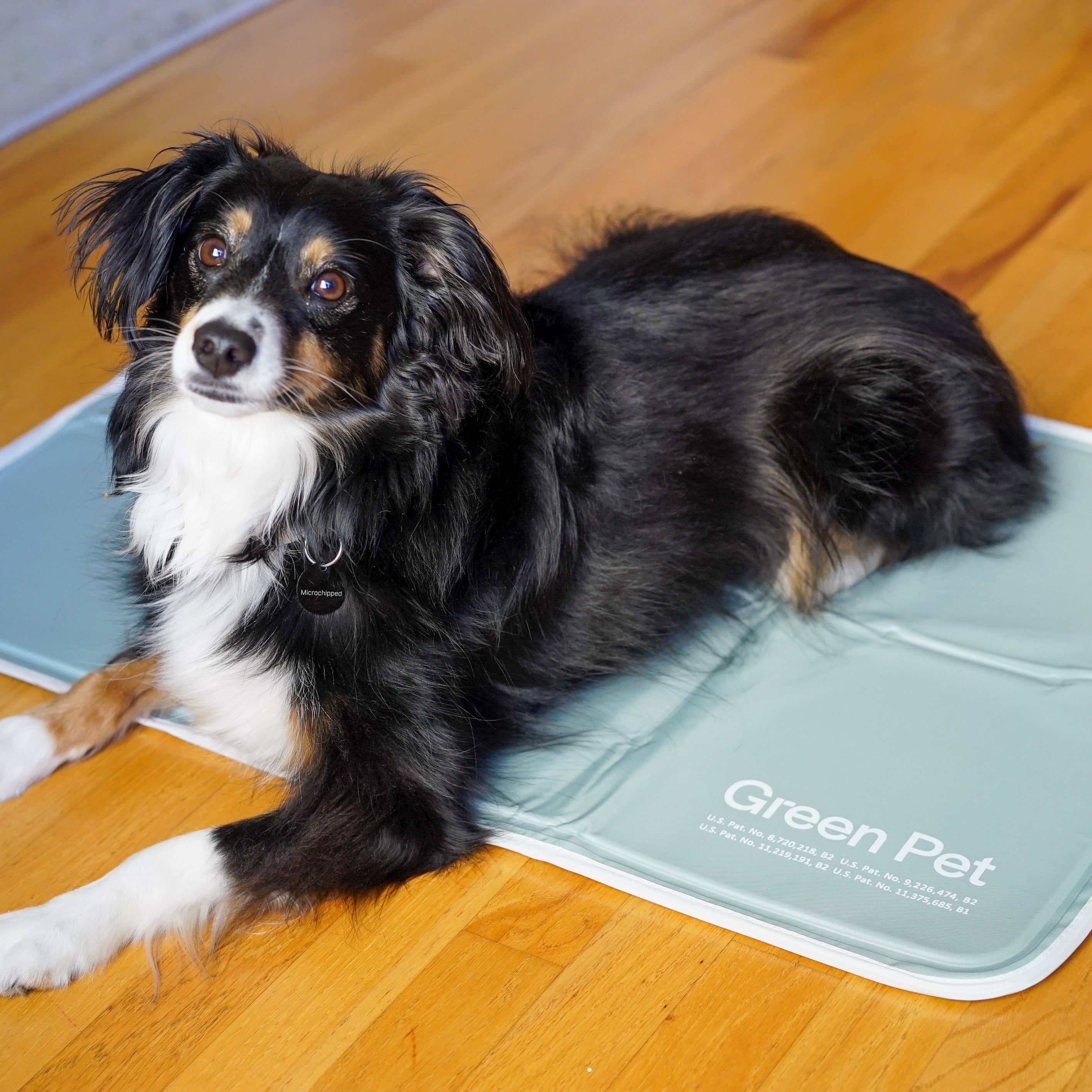 Cool Pet Pads Pet Cooling Mat and Beds Green Pet