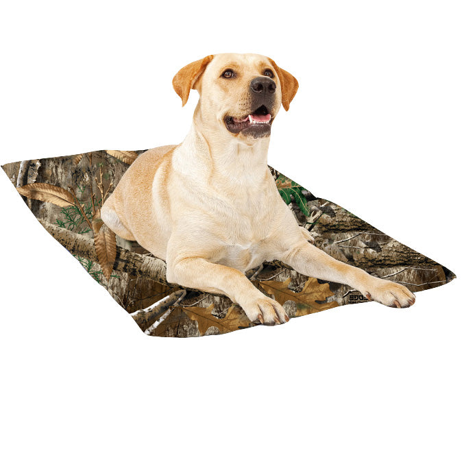 Chillz shop dog bed