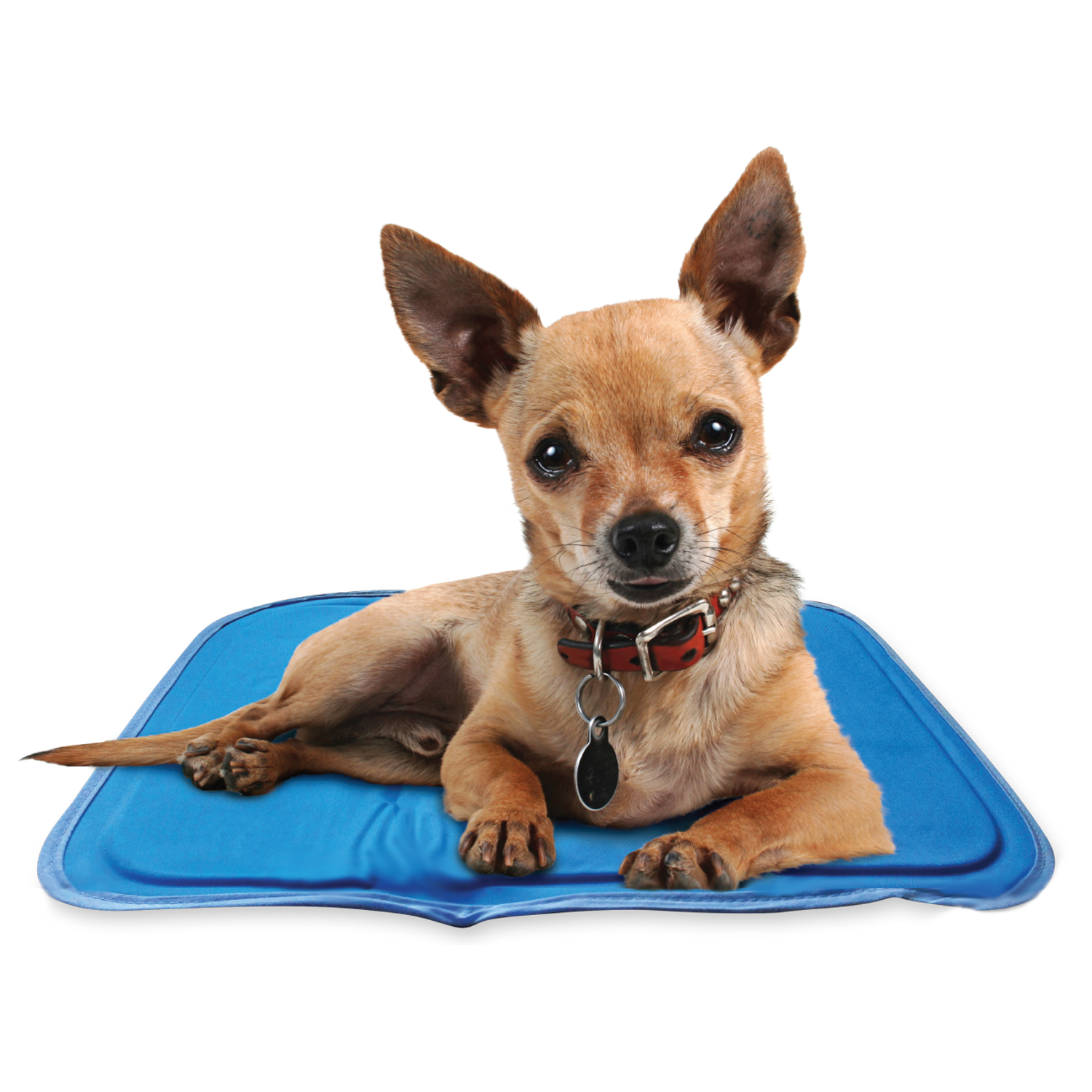 Cool Care Technologies Cool Flash Pillow Pad