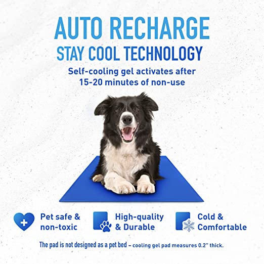 Chillz pet hot sale cooling mat